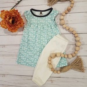 Tea Collection 3-6mo Dress Outfit